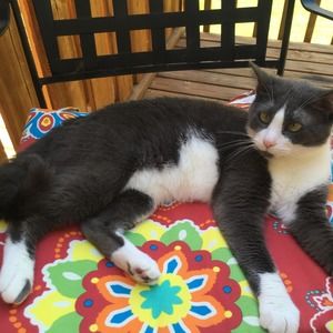 Meet your Posher, Judith